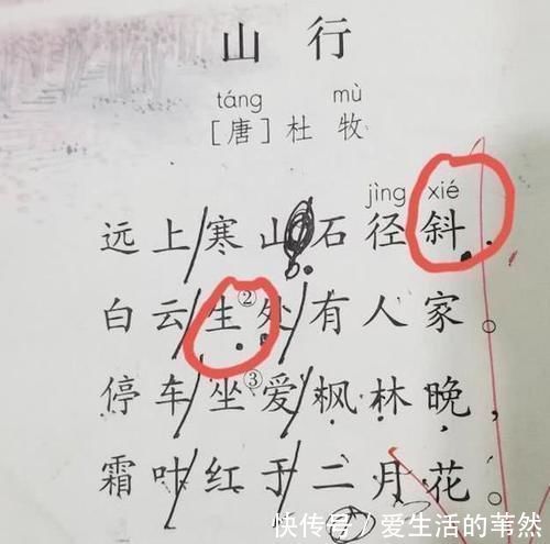 家长|一行xing白鹭上青天,课本上读音变了,家长:怀疑自己读了假书