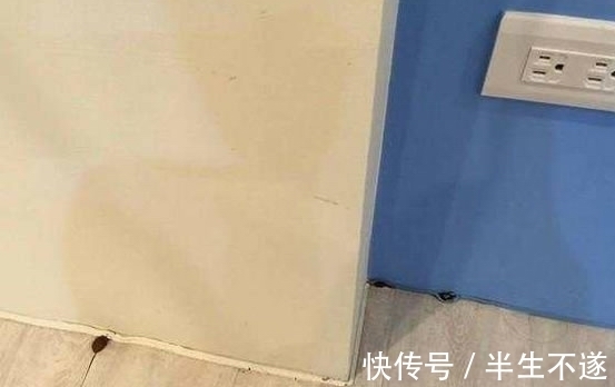 装修|装修半年地板长出“怪东西” 诡异的模样吓坏网友