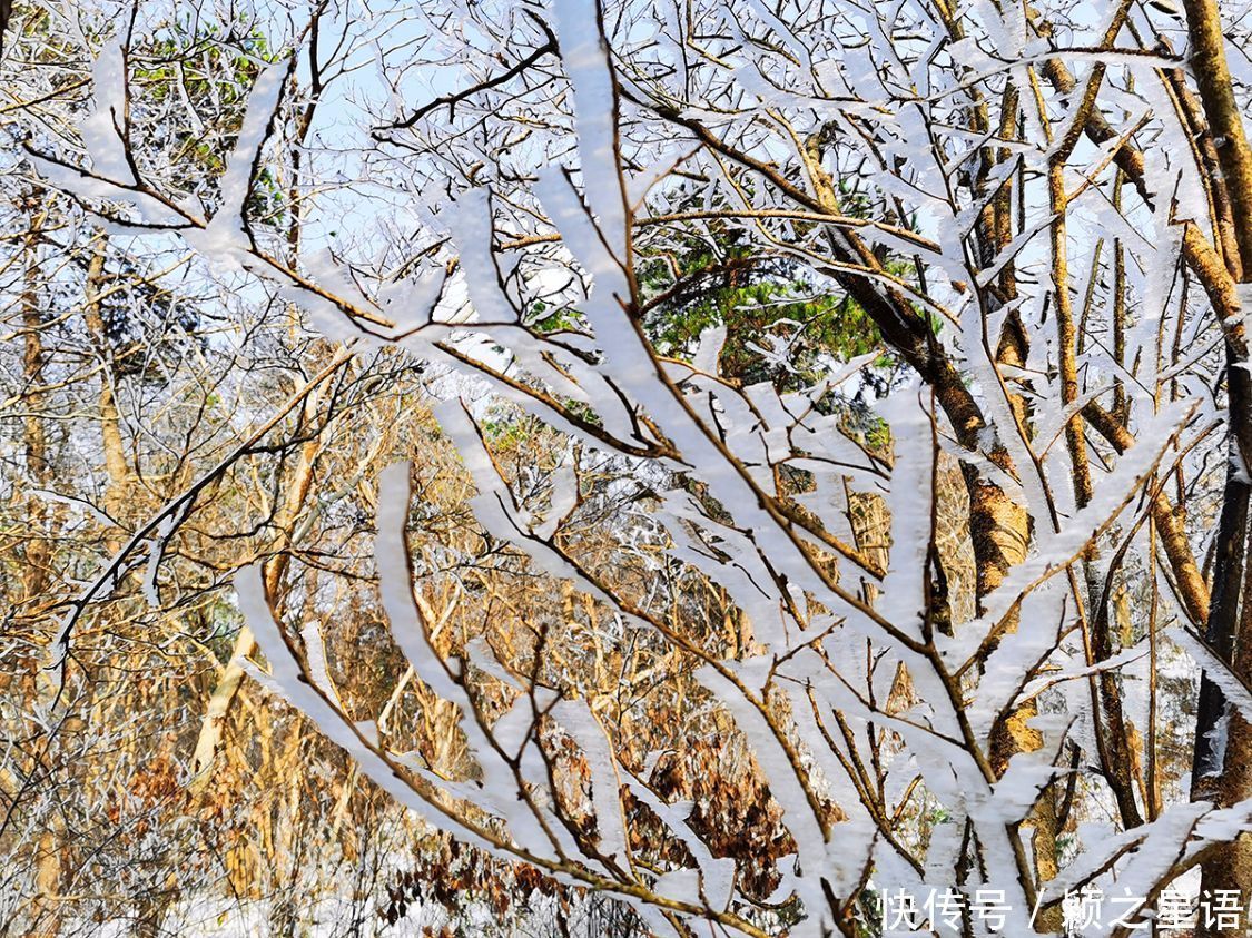 黄泥浆岗|宁波第二高峰，雪国风光，雾凇奇观