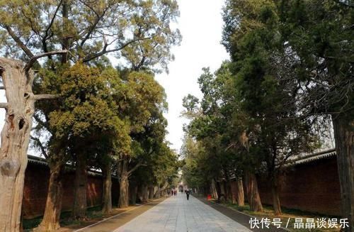 墓地|我国最大的家族墓地,坟冢超10万座,千年来乌鸦不栖蛇类远避