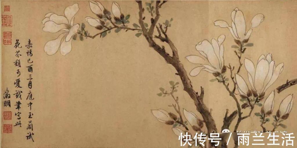 陈淳@与徐渭齐名,这个富二代的一花一世界!