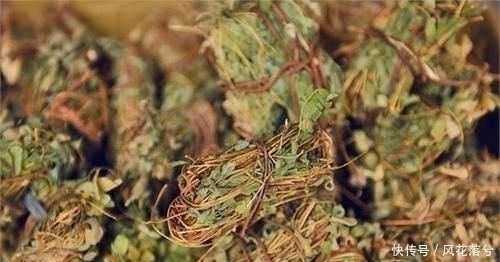 四氯化碳|农村这种野草,村里人眼里的“恶草”却用处多,遇到了请手下留情