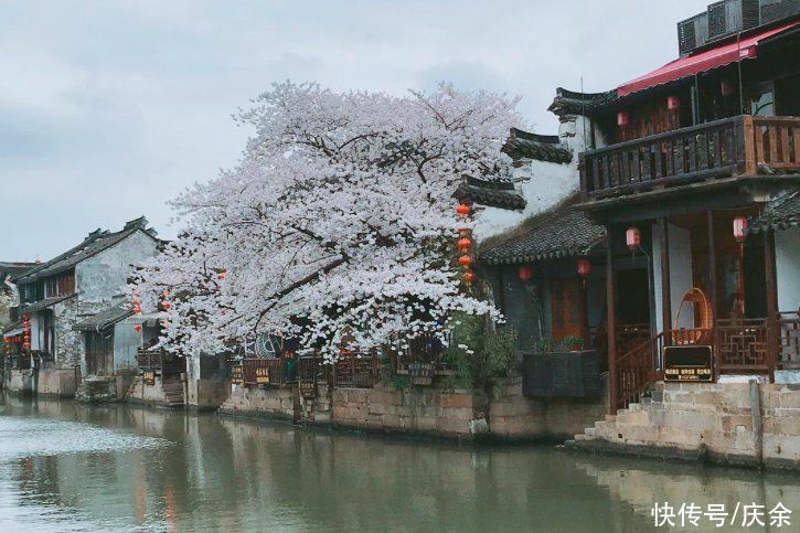 歌唱家|杜甫最富含蕴的一首诗，短短4句，却写出了时代的沧桑巨变