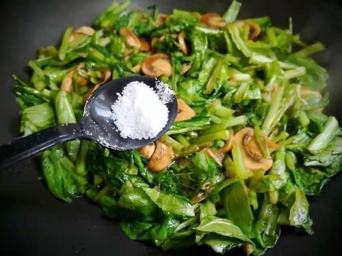 蘑菇|这菜是唯一含维生素D的蔬菜,虽然贵但营养极高,老人小孩都爱吃