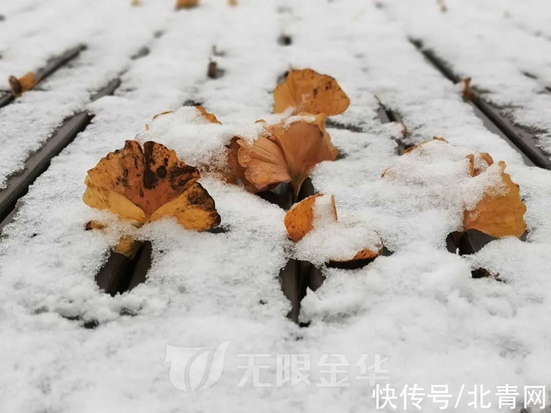 临安|浙江多地下雪！一地积雪厚度达3公分……