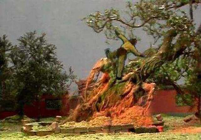  推倒|怪不得孙悟空毁了人参果镇元子不生气，你看他园里更值钱的是啥