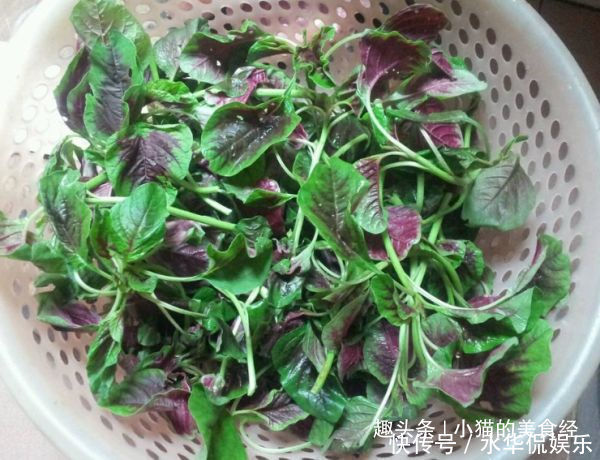 红苋菜皮蛋汤|它一块钱一斤,称穷人的阿胶,每天吃一点,淡化雀斑,皮肤越细腻