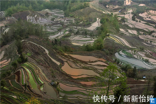 历险记|元阳梯田老虎嘴塌方事故后，想走崎岖小路才能到，一次难忘历险记