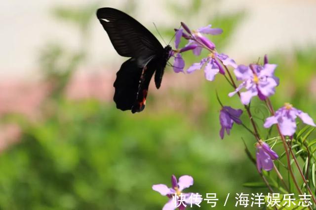 黑龙潭|8个藏在秦岭深处的醉美水域，景美人少还免费！