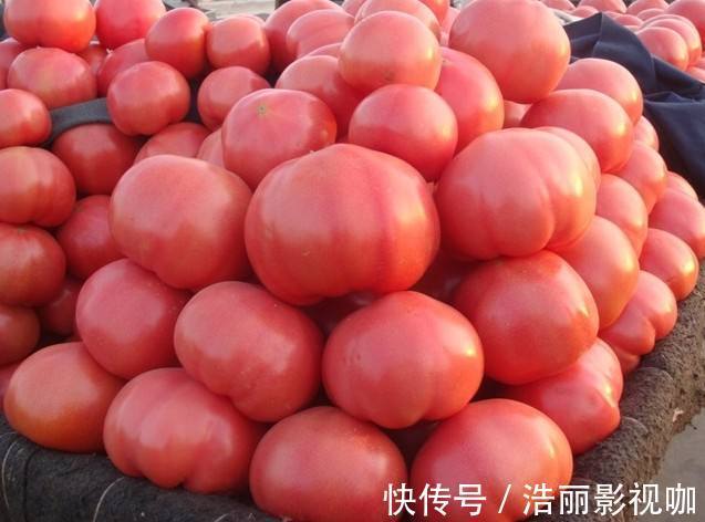粉皮儿|西红柿“红皮的好”还是“粉皮的好”果农给出答案,别再买错了