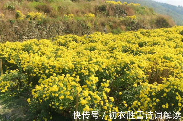 晚秋$晚秋明丽古诗词五首:见底高秋水,开怀万里天