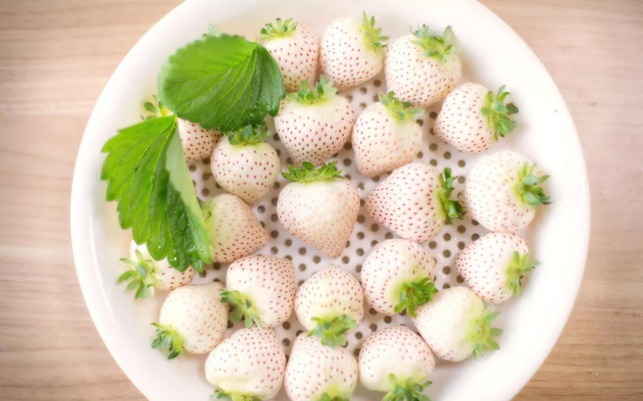 酸素|超市很常见的3种食物,补充营养,延缓衰老,身体棒棒哒!