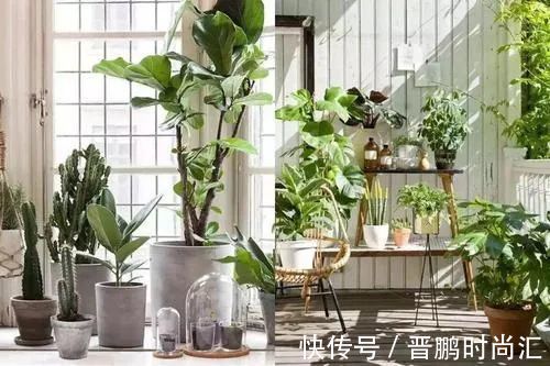 小家电|第一次装修被坑惨了!我交了5w智商税,总结了这20个坑!