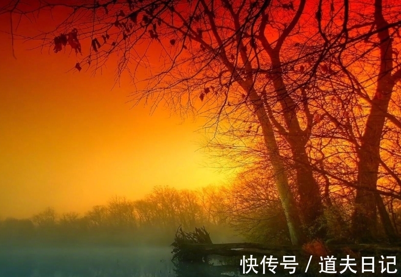 初秋行圃|这首杨万里的小诗,似信手拈来,质朴平实,又风情万种,独特新鲜