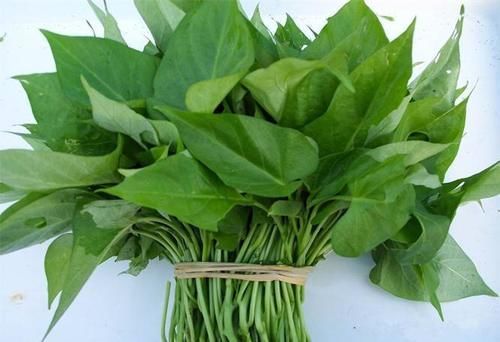 女性想要肌肤好，常吃这些食物，补血护肤，延缓衰老，好处多多