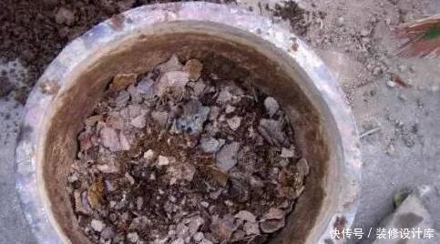 旧土|换盆的旧土都扔了,不学这招你亏大了