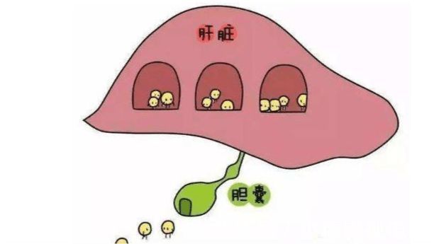 失眠|睡觉最好把脚露在外面有什么作用?失眠或与肝有关,男女都该知道