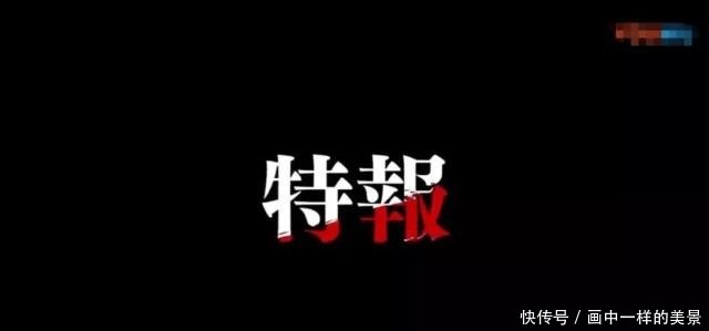 回归|时隔四年，岸本齐史携带新作《武士8》回归，将与尾田决一高下！