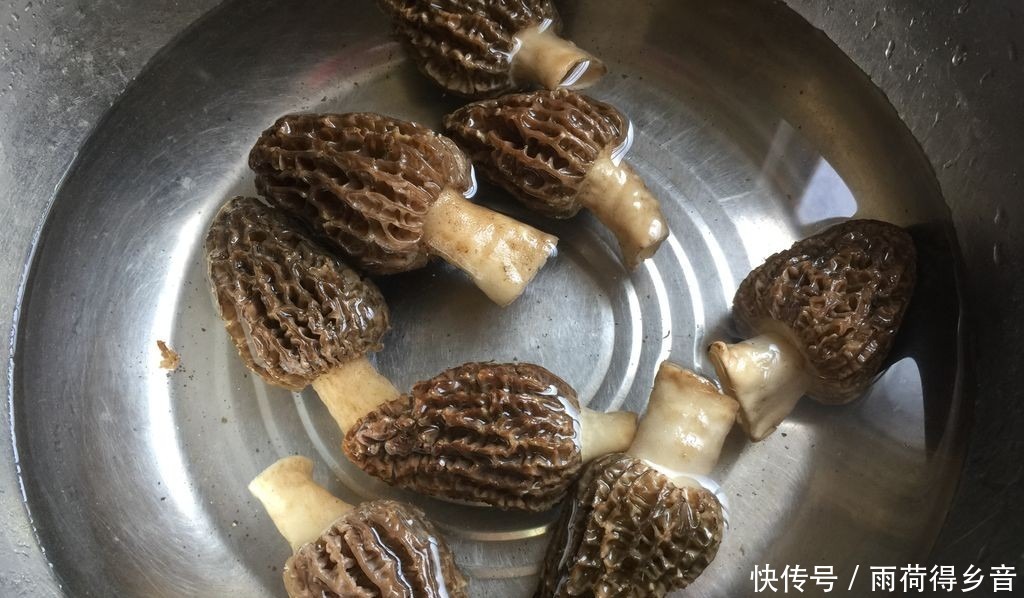 吃肉|天热，吃肉不如吃此菜，虽然有点贵，但是对身体很好，鲜美又营养！