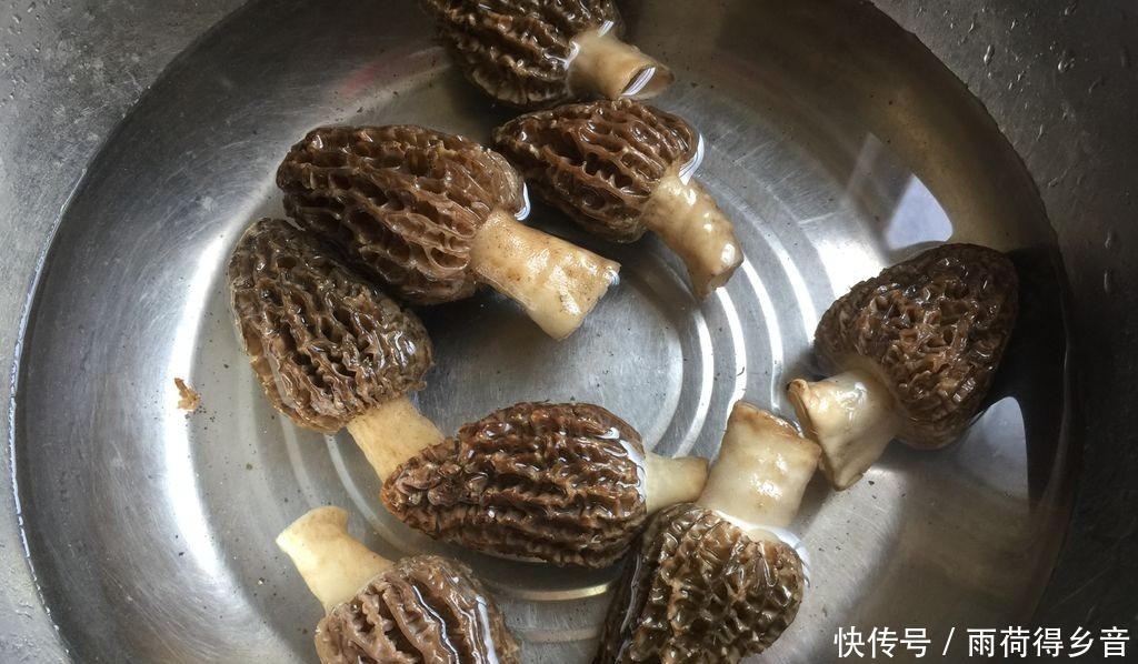 吃肉|天热,吃肉不如吃此菜,虽然有点贵,但是对身体很好,鲜美又营养!