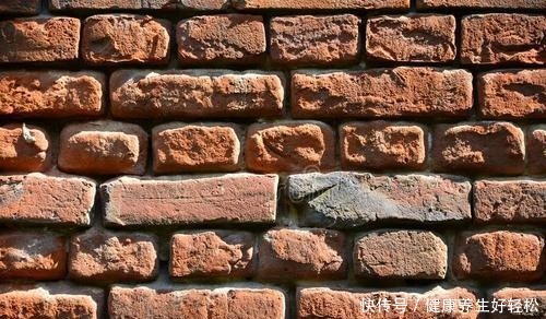 生活里常见的3种垃圾,却是养花的顶级原料,你疏忽它们了吗!