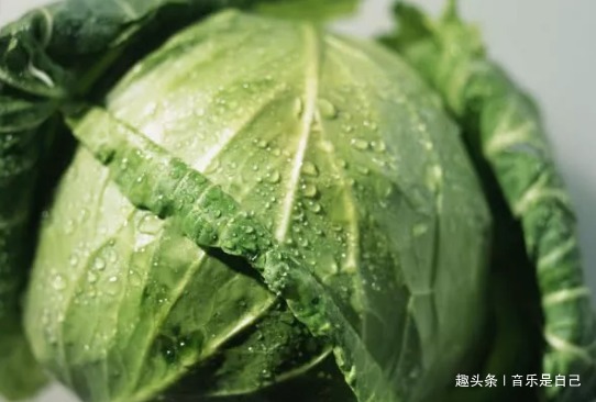 清肺|女性养生,4种食物离不开,润肤美容,刮油甩脂,清理体内毒素