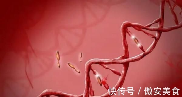 学习习惯|夫妻哪种血型生出的孩子智商高若是这种组合,可能生出个学霸