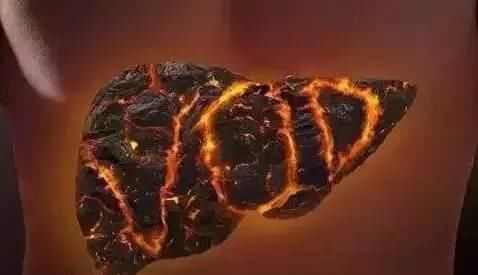 食物|肝脏“喜欢”的6种食物,每天吃一些,给身体排毒,肝脏更健康