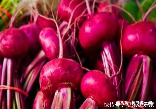 养生|冬季养生,适合吃的4种食物,养血补肾,清肠排毒,滋补身体