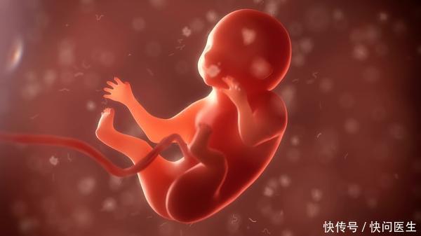 膳食纤维|孕期便秘,影响孕妇及胎儿健康,及早预防孕期便秘