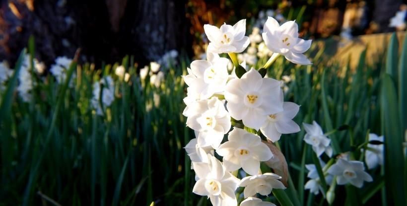 |处变不惊的三生肖女,非常幽默, 爱情事业双丰收