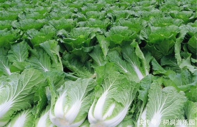 餐桌3种食物甲醛含量“超标”，常吃可能引发“白血病”，别忽视