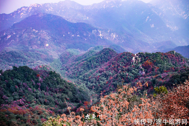 玻璃桥|落日余晖，一颦一笑染尽迷人秋色，遇见古老神秘之国—沂蒙山