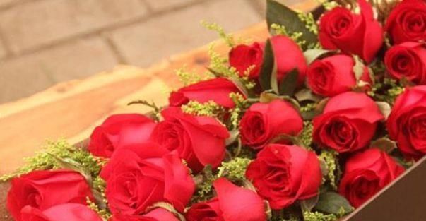 玫瑰|比起喜欢玫瑰,养花盆的“精品玫瑰”卡罗来纳,像火花一样红润明亮的爱