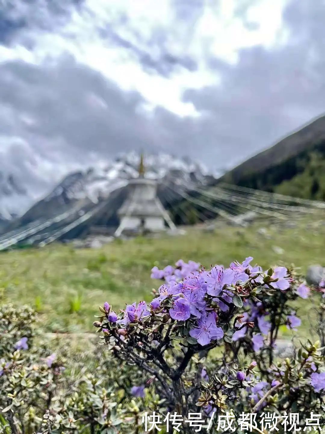 tr放慢脚步，跟着许巍的歌去四姑娘山旅行