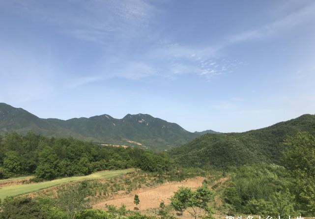 惊蛰将至,老话说:寡年无春,惊蛰无雷,遍地