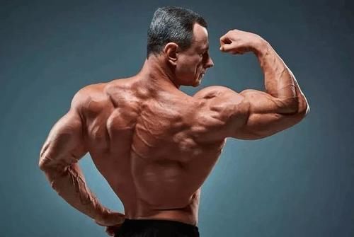 动作|三角肌前束没必要练那么三角肌后束其实也没必要练