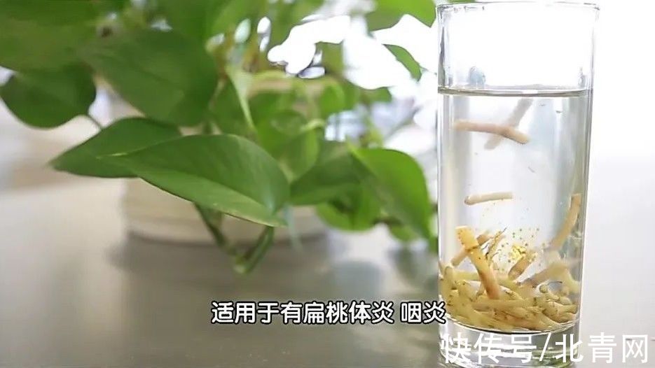 本草纲目|1/6的癌症都是炎症引起的!4类“促炎”饮食,让身体炎症越来越高发!别再吃错了