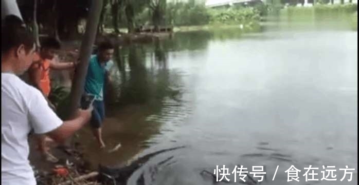 甲鱼|男子河边钓鱼, 接下来钓上来的一个庞然大物，让人直呼赚大了
