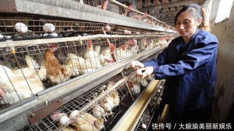 超市|超市的鸡蛋并不是母鸡下的，看到工厂生产鸡蛋的过程，就懂了