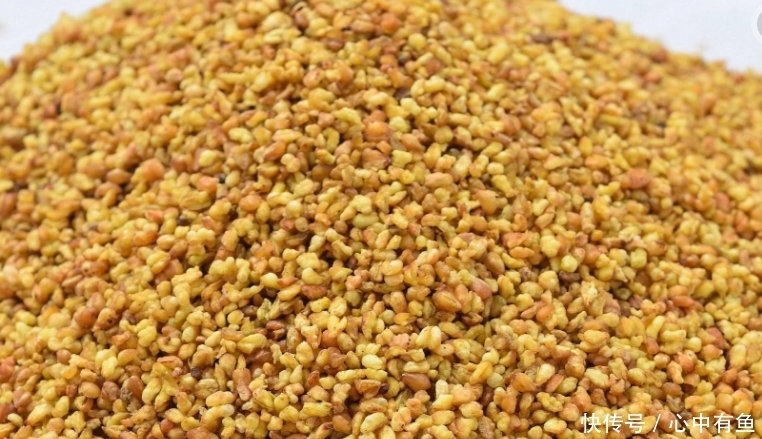  荞麦|血管的“清道夫”终于被找到了，睡前喝一口，血管“一通到底”！