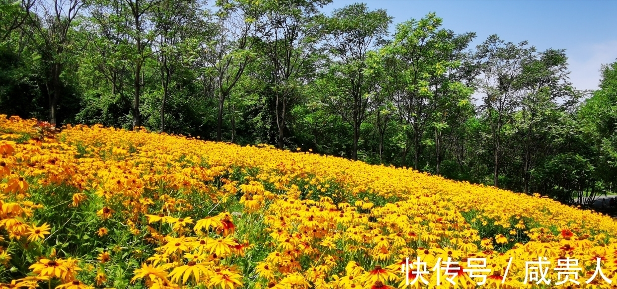 韦应物$哲理诗三首，世事荏苒几盈虚，茫茫难自料，心态最重要