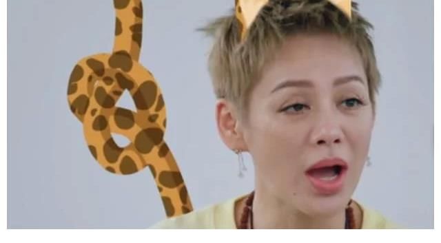 向往的生活|《中餐厅5》首播被群嘲，宁静“大姐大”做派惹反感，黄晓明躺枪