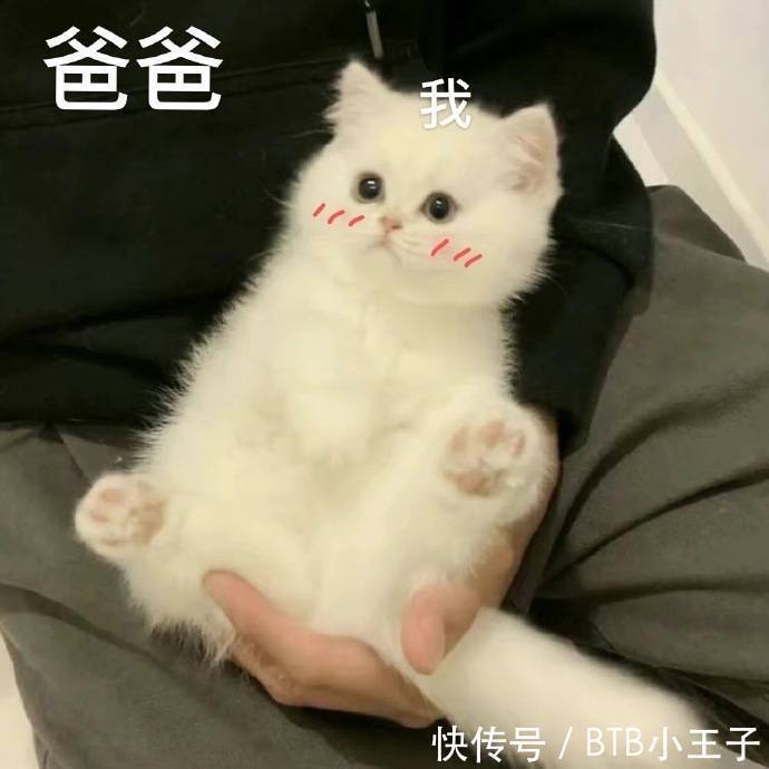 |笑话:阿姨,你是不是特别讨厌我这种家里有钱,学习成绩还好的人啊?