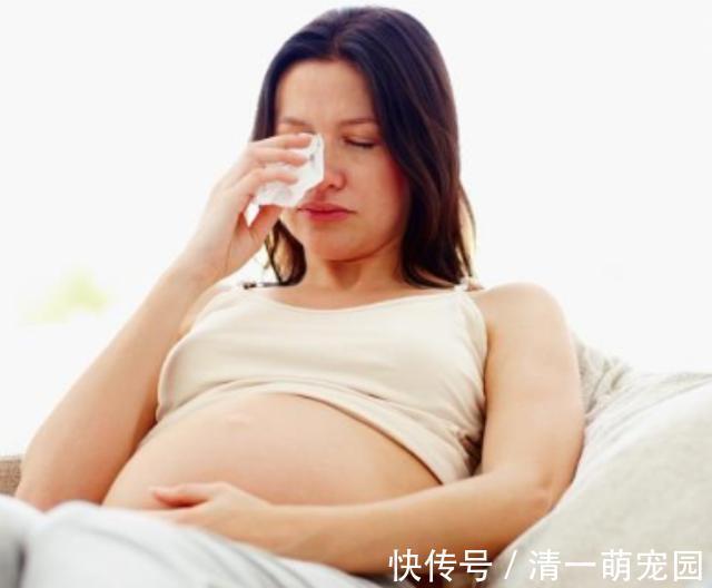 污染|孕期做到“4不碰”,有利于保持羊水“清澈”,胎儿住着更干净