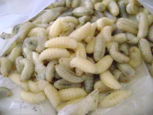 气血|女性不想老太快,要常吃此物,气血好了,皱纹少了,皮肤细腻