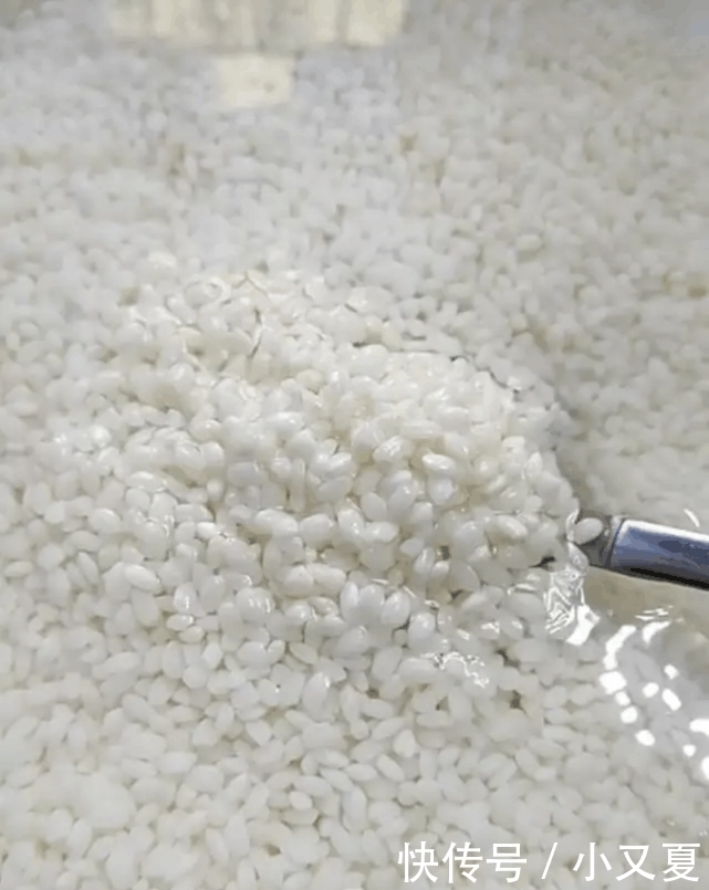 糯米加鸡蛋, 外面卖八元一个, 在家也能做, 一次吃五个还嫌不过瘾