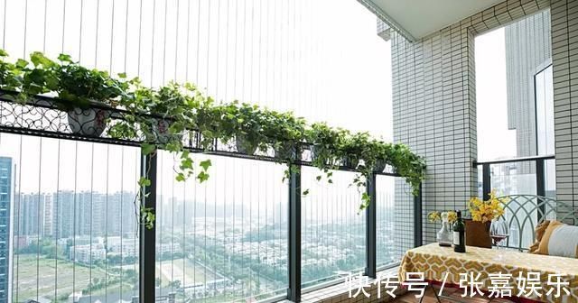 洗衣房|原来阳台还能这样设计,我家竟然浪费了好几万,还不如人家的好