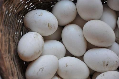 小米粥|核桃属于骨质疏松“发物”?若想保护骨骼:“1白、2黄”尽量少吃