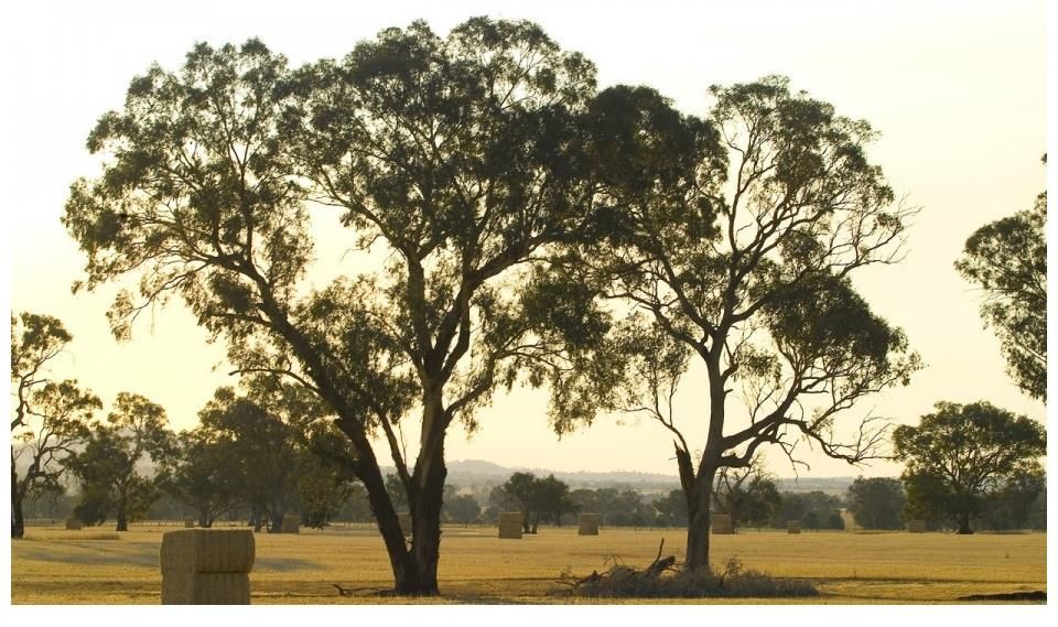 10月29日30日31日 正偏财扎堆大发特发 钞票如雨下 横财遍地必暴富3生肖 全网搜